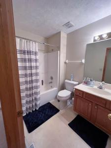 a bathroom with a toilet and a sink and a shower at Pet friendly,3 Queen beds, One-Full bed with Fast free WIFI in Omaha