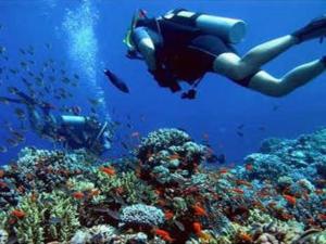 a person is swimming over a coral reef at Four Seasons Hotel in Hurghada