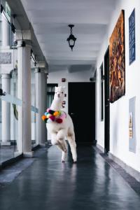 un oso polar parado en sus patas traseras en un edificio en Casa Andina Premium Cusco, en Cusco