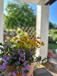 Photo de la galerie de l'établissement Guest house Saulkrasti, à Saulkrasti