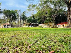 a field of green grass with houses in the background at Cabañas Marisol in Palenque