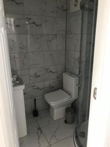a bathroom with a toilet and a glass shower at 30A Mortlake in London