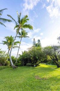 two palm trees in a grassy field with a sky at Lavish Cliff House with Ocean Views in Haiku, Maui jungle in Huelo