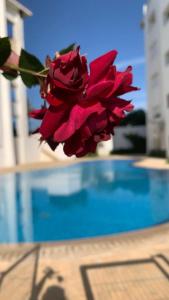 Foto de la galería de petit studio mignon pour passer les vacance a Marina Golf en Asilah