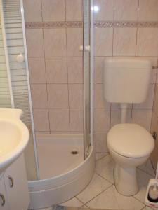 een badkamer met een douche, een toilet en een wastafel bij Jelena Apartment in Tkon