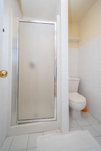 a bathroom with a shower and a toilet at Triple Room Mrljane 327a in Neviđane