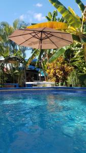 une grande piscine avec un parasol et une piscine dans l'établissement AO EO little wooden house honeymoon suite, à Santiago de los Caballeros