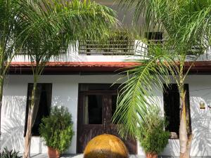 une maison avec des palmiers devant elle dans l'établissement Good Life Lodge, à Sámara
