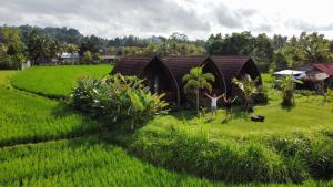 Kubu Bakas Guest House外面的花园