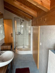 a bathroom with a shower and a sink at Ferienwohnung Kimmig in Bernbeuren