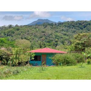 une petite maison avec un toit rouge dans un champ dans l'établissement Casita Los Guarumos (Finca Las Colinas), à Bijagua