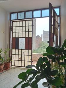 a plant in front of a door with a window at Cocoon Auberge in Jaipur