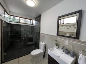 a bathroom with a toilet and a sink and a shower at Casa Embi Oaxaca in Oaxaca City