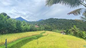 Foto dalla galleria di Cabin house a Munduk