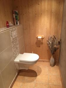 a bathroom with a toilet in a wooden wall at Le chalet de Doucy Bardet in Habère-Poche