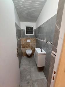 un baño con inodoro y lavabo en LA TERRASSE DES TORTUES, en Bouillante 21 fotos más