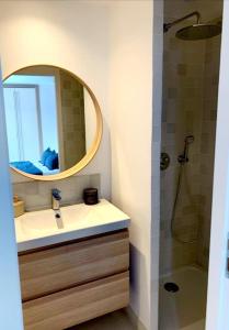 ein Bad mit einem Waschbecken, einem Spiegel und einer Dusche in der Unterkunft Villa Couloubrier in Sainte-Maxime