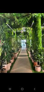 a hallway with potted plants in a greenhouse at Orbi Sea Towers in Batumi