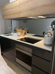 uma cozinha com um lavatório e uma bancada em Ellipse Waterfall luxurious unit em Midrand