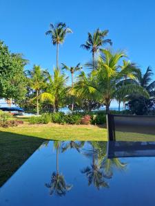 a reflection of palm trees in a pool at CAPLAGE - BEACHFRONT GROUND FLOOR APARTMENT in TAMARIN in Tamarin