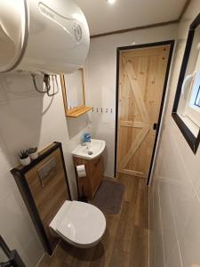 a bathroom with a toilet and a sink and a door at Dębowe Siedlisko Chechłówka 