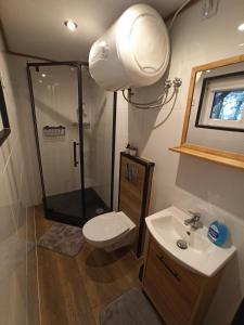 a bathroom with a shower and a toilet and a sink at Dębowe Siedlisko Chechłówka 