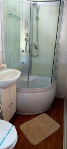 een badkamer met een glazen douche en een wastafel bij Tiny House Miniş in Miniş