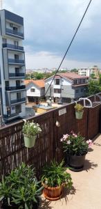 a balcony with potted plants on a building at Studio Callatis Central - adults only in Mangalia +11 photos