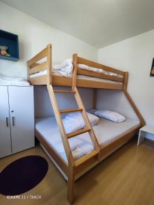 a bunk bed with a ladder in a room at Konstanzer Sonne 