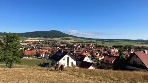 a village with a horse standing in a field at Ferienwohnung Rhönperle Dermbach in Dermbach