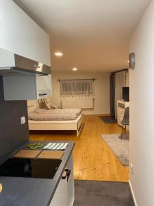 a kitchen and living room with a bed in the background at Pod lípou in Liberec