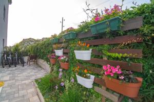 Zahrada ubytování Village holiday apartman with heated pool Maslina