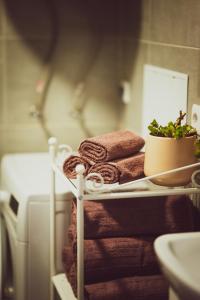a shelf with towels and a plant on it at Lavender House in Kuressaare