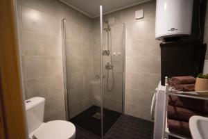 uma casa de banho com uma cabina de duche e um WC. em Lavender House em Kuressaare
