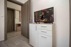 TV a/nebo společenská místnost v ubytování Apartment Miske