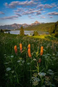 a field of flowers with a view of a lake at Hartungs Hoteldorf in Füssen