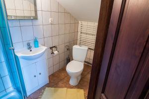 a bathroom with a toilet and a sink at Bocianówka in Baranów Sandomierski