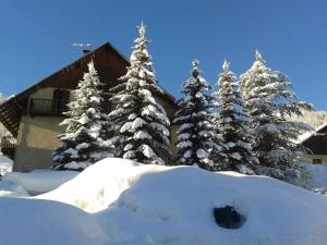 um grupo de árvores cobertas de neve em frente a uma casa em Appartement chalet 4 pers 45m2 Puy Saint Vincent em Puy-Saint-Vincent