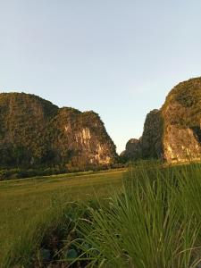 Lanskap alam di dekat homestay