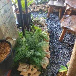 einen Garten mit Pflanzen und Steinen und einer Bank in der Unterkunft Cozy 3Bedroom Home for A Big Family and Friends in Cagayan de Oro