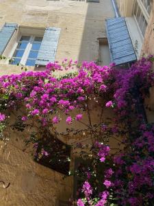 ein Strauß lila Blumen an der Seite eines Gebäudes in der Unterkunft Hôtel du Musée in Arles