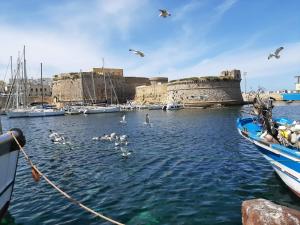 a group of birds in the water near boats at Ruggine Loft in Gallipoli