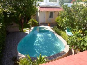 梅里达拉卡萨德尔旅馆的院子里的游泳池