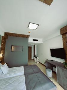 a bedroom with a bed and a desk and a television at Pensiunea Senin in Sovata