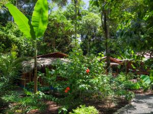 Zahrada ubytování Casitas Las Flores