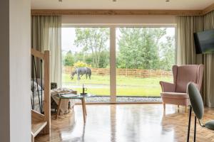 a living room with a view of a horse out the window at Rychlinowe Domki in Poronin