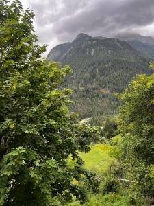 a view of a valley with trees and mountains at Chasa Crusch in Sent