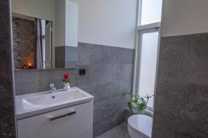 La salle de bains est pourvue d'un lavabo, de toilettes et d'un miroir. dans l'établissement Appartement 't Groentje 9A Domburg DO43, à Domburg