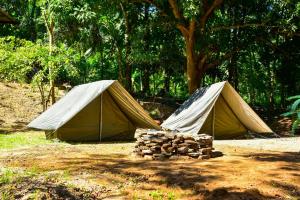 two tents sitting next to a pile of logs at The New Crown Hotel in Dambulla
