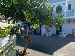 a tree in front of a building with tables and chairs at Lecce Rooms in Castro di Lecce